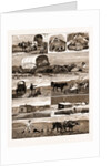 Scenes From An Emigrant's Life In Manitoba, Canada, 1883 by Anonymous
