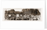 Sir Stafford Northcote In Ulster: The Great Conservative And Orange Meeting In The Botanic Gardens, Belfast, October 6, 1883 by Anonymous