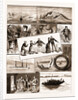 Life On Board An Indian Troopship, 1883 by Anonymous