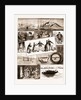 Life On Board An Indian Troopship, 1883 by Anonymous