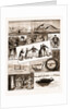Life On Board An Indian Troopship, 1883 by Anonymous