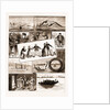 Life On Board An Indian Troopship, 1883 by Anonymous