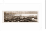 The Revolution In Haiti: View Of Port-au-prince, 1883 by Anonymous
