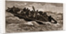 The Portland 'bus, Or Steam Launch Attached To H.M.S. Hercules, In Foul Weather, UK, 1883 by Anonymous