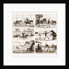 An Overland Journey From Queensland To Sydney With A New Chum, Australia, 1883 by Anonymous