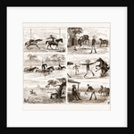 An Overland Journey From Queensland To Sydney With A New Chum, Australia, 1883 by Anonymous