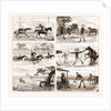 An Overland Journey From Queensland To Sydney With A New Chum, Australia, 1883 by Anonymous