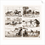 An Overland Journey From Queensland To Sydney With A New Chum, Australia, 1883 by Anonymous