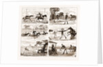 An Overland Journey From Queensland To Sydney With A New Chum, Australia, 1883 by Anonymous