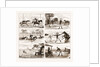 An Overland Journey From Queensland To Sydney With A New Chum, Australia, 1883 by Anonymous