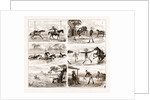 An Overland Journey From Queensland To Sydney With A New Chum, Australia, 1883 by Anonymous