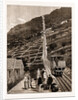 The Steepest Railway In The World: The New Mountain Line Between Montreux And Glion, Switzerland, 1883 by Anonymous