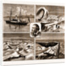 The Nordenskjold Greenland Expedition, 1883 by Anonymous