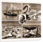 The Nordenskjold Greenland Expedition, 1883 by Anonymous