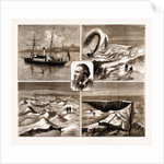 The Nordenskjold Greenland Expedition, 1883 by Anonymous