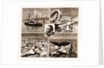 The Nordenskjold Greenland Expedition, 1883 by Anonymous