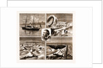 The Nordenskjold Greenland Expedition, 1883 by Anonymous