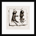 Two Young Marmozets, The First Ever Bred In Europe, 1883 by Anonymous