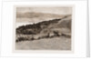 The River Congo At Manyanga, Africa, 1883 by Anonymous