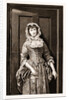 Dolly Varden by Anonymous