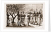The Rebellion In The Sudan, 1883 by Anonymous