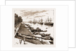 Tea Steamers, Shanghai, China, 1883 by Anonymous