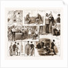 Some Incidents In Connection With An Army Examination, 1883 by Anonymous