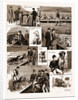 Notes At A Dog Show, 1883 by Anonymous