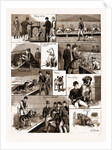 Notes At A Dog Show, 1883 by Anonymous