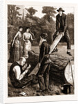 Bearer Waits, 1883 by Anonymous
