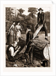 Bearer Waits, 1883 by Anonymous