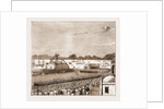 The Voyage Of The Duke And Duchess Of Connaught To India On Board The P&O Mail Steamer Cathay, 1883 by Anonymous