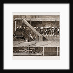 The Duke And Duchess Of Connaught At Bombay, India, 1883 by Anonymous