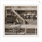 The Duke And Duchess Of Connaught At Bombay, India, 1883 by Anonymous