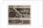 The Duke And Duchess Of Connaught At Bombay, India, 1883 by Anonymous