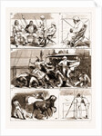 The Rebellion In The Sudan, With Baker Pasha's Reinforcements: From Suez To Suakim By The Red Sea, 1883 by Anonymous
