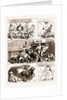 The Rebellion In The Sudan, With Baker Pasha's Reinforcements: From Suez To Suakim By The Red Sea, 1883 by Anonymous