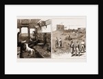 The Rebellion In The Sudan, With Baker Pasha's Reinforcements, 1883 by Anonymous