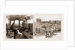 The Rebellion In The Sudan, With Baker Pasha's Reinforcements, 1883 by Anonymous