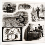 The Annual Field Sketch, 1886 by Anonymous