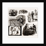 The Annual Field Sketch, 1886 by Anonymous