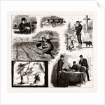 The Annual Field Sketch, 1886 by Anonymous