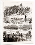 Notes From South Africa, 1886 by Anonymous
