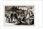 The Difficulty Between Turkey And Greece, 1886 by Anonymous