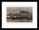 The New Royal Stand At Epsom, UK, 1886 by Anonymous