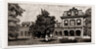 Orange Culture In Florida, 1886 by Anonymous