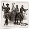 The Indian Section Of The Colonial And Indian Exhibition: The Ethnological Collection, 1886 by Anonymous