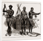 The Indian Section Of The Colonial And Indian Exhibition: The Ethnological Collection, 1886 by Anonymous