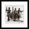 The Indian Section Of The Colonial And Indian Exhibition: The Ethnological Collection, 1886 by Anonymous