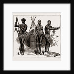 The Indian Section Of The Colonial And Indian Exhibition: The Ethnological Collection, 1886 by Anonymous
